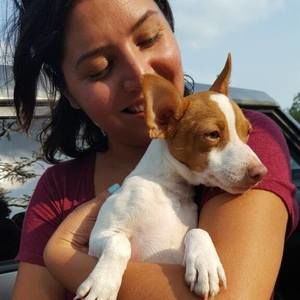 Meet your Posher, Cherie